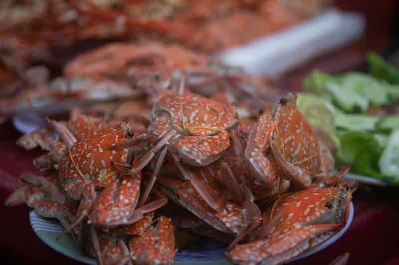 Ghẹ biển