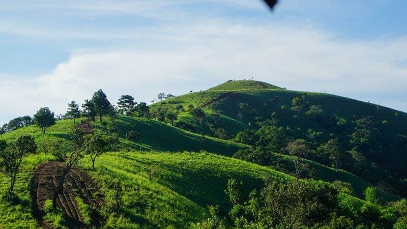 Tà năng phan dũng - Địa điểm Trekking Miền Nam cực đẹp