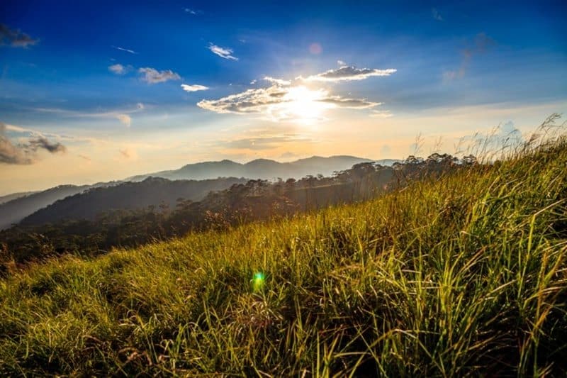 rừng tà năng ở đầu Bình minh tại tà năng phan dũng
