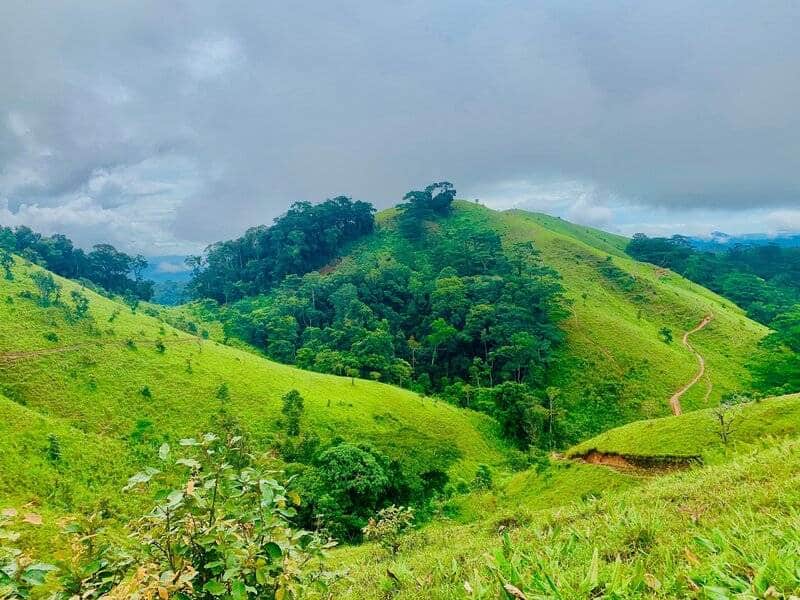 cánh đồng cỏ xanh ở Tà Năng