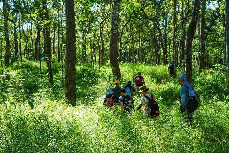 Khung cảnh hoang sơ và hùng vĩ tại Tà Năng Phan Dũng Khung cảnh hoang sơ và hùng vĩ tại Tà Năng Phan Dũng