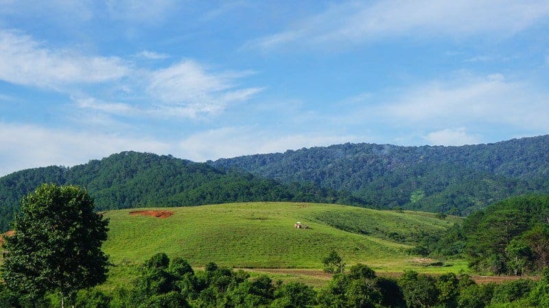 Cung đường Tà Năng Phan Dũng ở đâu Cung đường Tà Năng Phan Dũng ở đâu