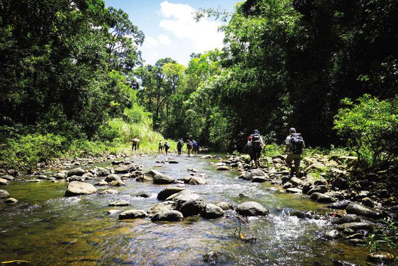 Băng qua con suối trong lành trên hành trình đi Trekking