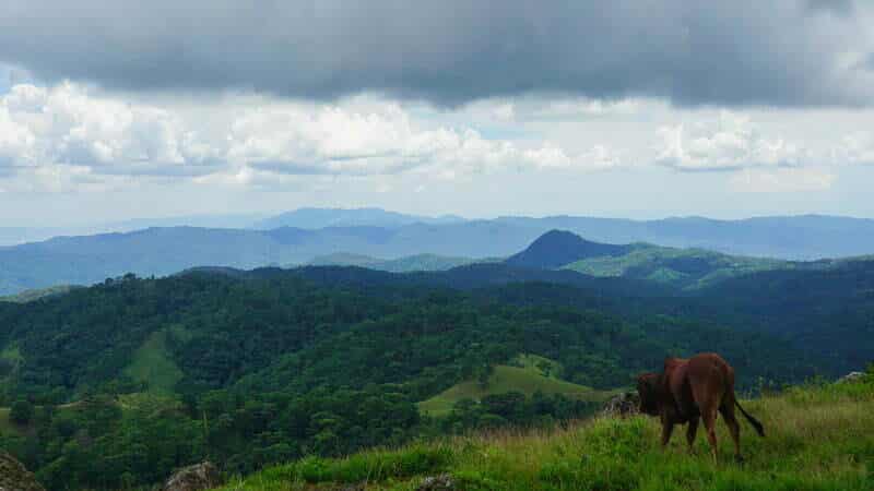 Toàn cảnh Tà Năng Phan Dũng - Cung đường lý tưởng dành cho những tín đồ Trekking Việt Nam