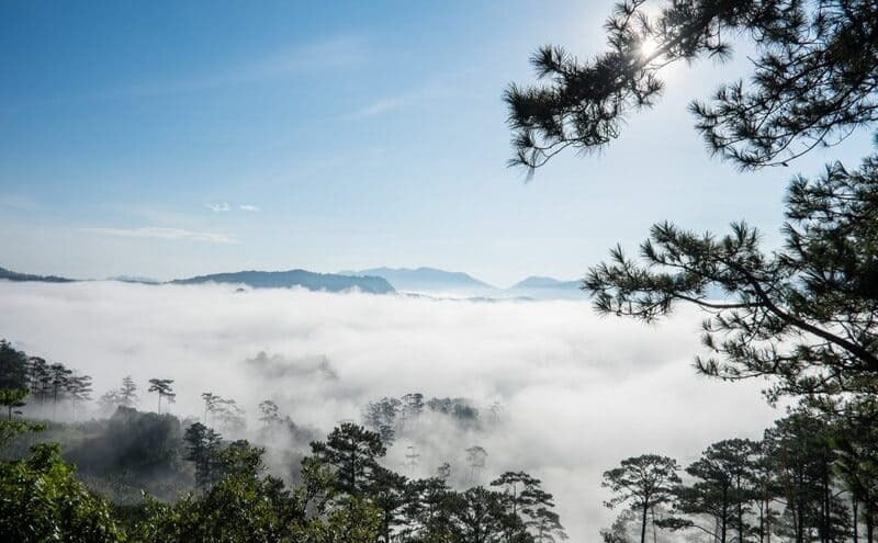 Bidoup Núi Bà - Hành trình lý tưởng dành cho tín đồ Trekking Việt Nam