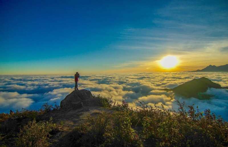 Bắt đầu hành trình chinh phục Bạch Mộc Lương Tử đầy thú vị