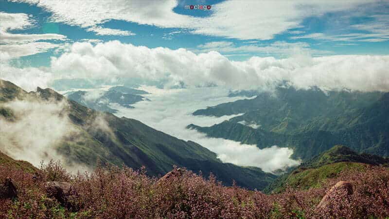du lịch Tà Chì Nhù 
