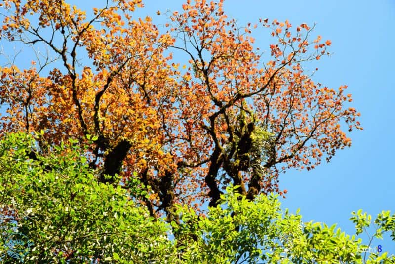Khám phá vẻ đẹp hoang sơ của núi rừng Tây Bắc