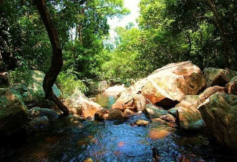 Sự hoang sơ hiếm có tại Suối Lồ Ô trên hành trình đến Vườn quốc gia Núi Chúa