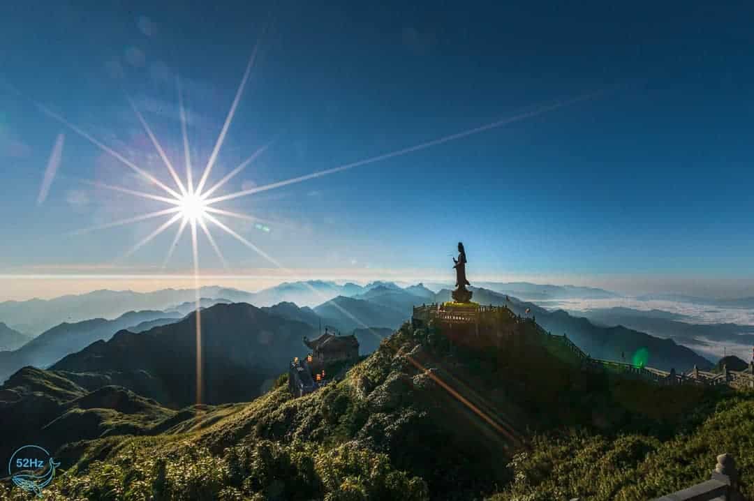 Toàn cảnh những thửa ruộng bậc thang đang vào mùa thu hoạch ngập vàng trong nền xanh mướt