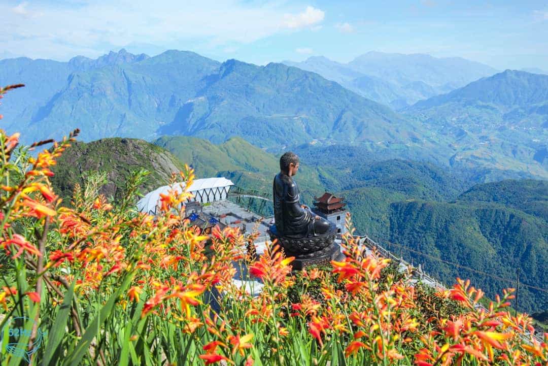 Sắc hoa tuyệt đẹp một vùng trời Fasipan