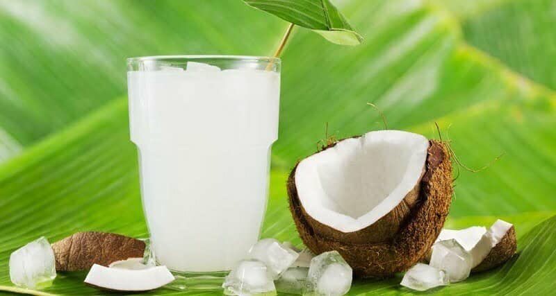 Đi chơi giữa trời nắng nóng mà có một trái dừa lạnh uống thì còn gì bằng