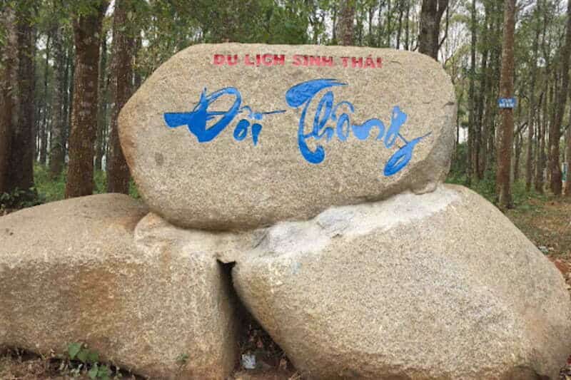 Đồi Thông Buôn Ma Thuật - Team Mơ Mộng Không Thể Bỏ Qua Đồi Thông Buôn Ma Thuật - Team Mơ Mộng Không Thể Bỏ Qua