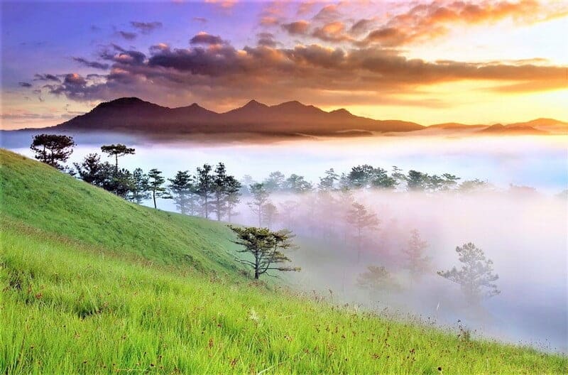 Lựa chọn cho mình thời điểm lý tưởng nhất để đến với Langbiang