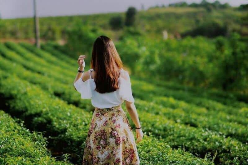 Lựa chọn thời điểm thích hợp dành cho bạn để đến tham quan tại đây