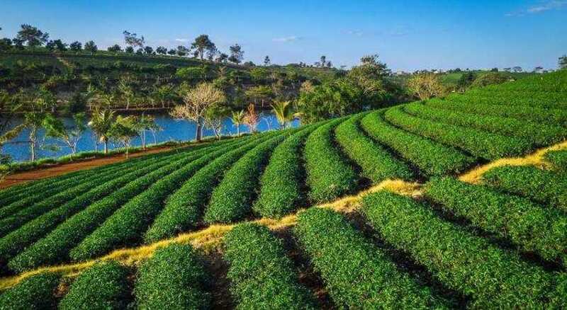 Với bầu không khí trong lành, chắc chắn sẽ giúp bạn cảm thấy thoải mái hơn rất nhiều sau những áp lực cuộc sống