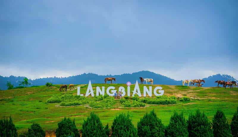 Khung cảnh thơ mộng và đầy bình yên tại đây