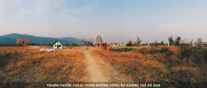 Thuận Phước Field: Thiên Đường Sống Ảo Không Thể Bỏ Qua