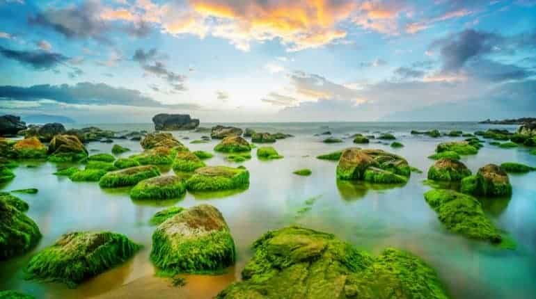 Thời điểm lý tưởng để ghé thăm bãi biển Nam Ô Đà Nẵng