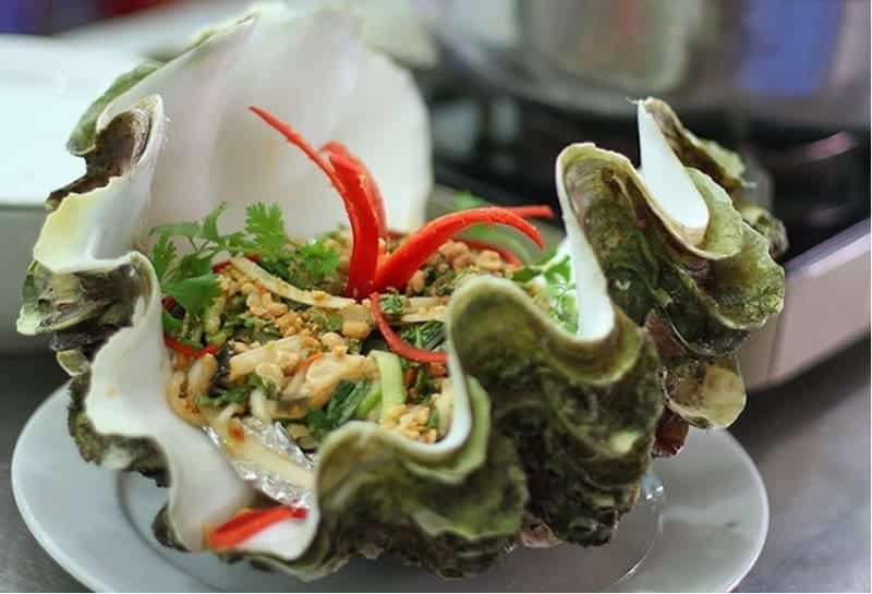 Ốc tai tượng có hình thù độc đáo