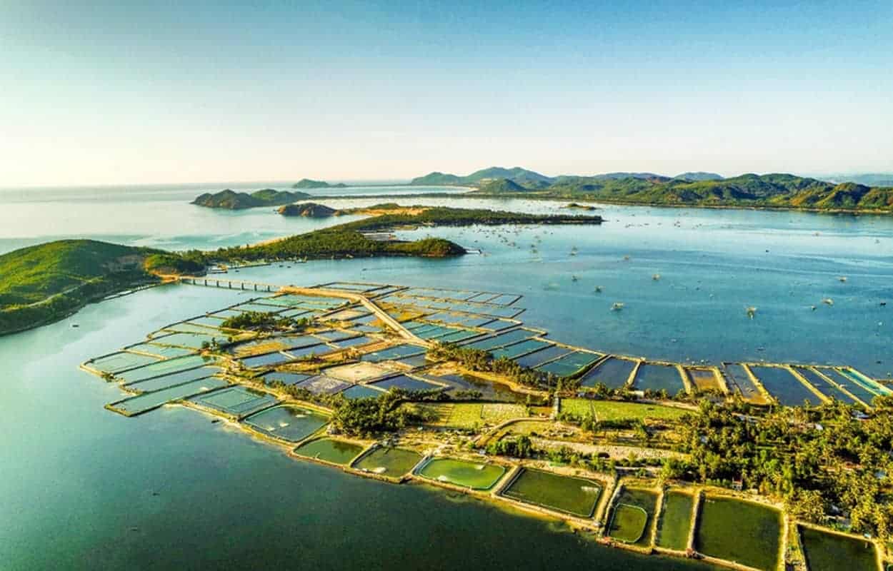 Vẻ đẹp khiến du khách choáng ngợp của Đầm Ô Loa