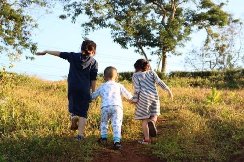Việc di chuyển vào khu vực đồi chè khá dễ dàng 