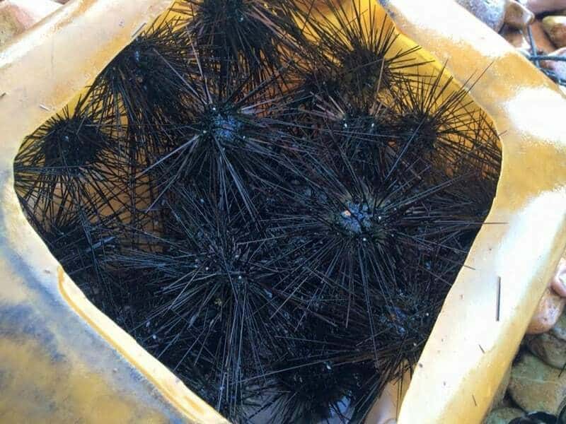 Khu vực hòn có đầy đủ những món ăn đặc sắc
