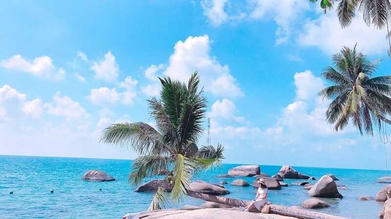 Những hàng cây dừa xum xuê