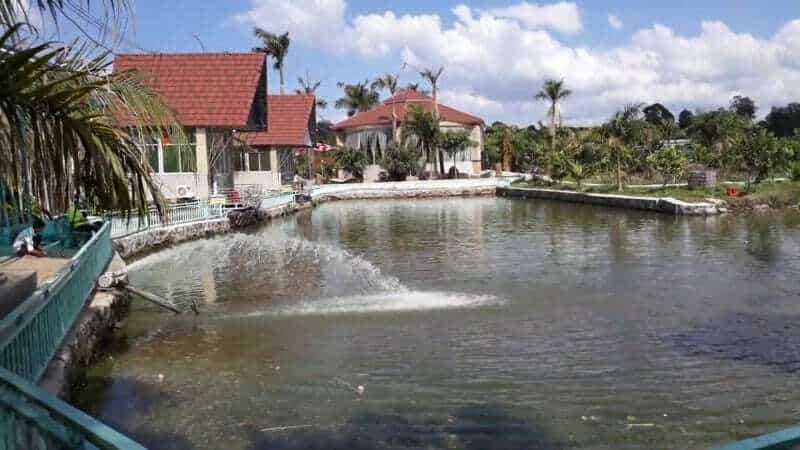 Hồ câu cá tại khu du lịch