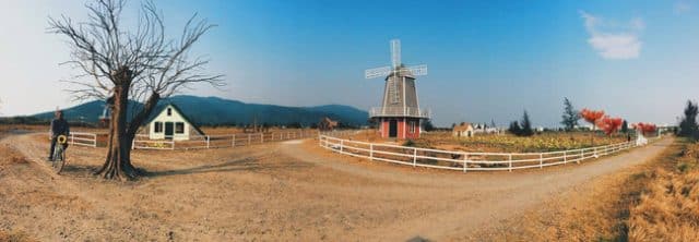 Phim Trường Thuận Phước Field: Tọa Độ Sống Ảo Cực Đỉnh
