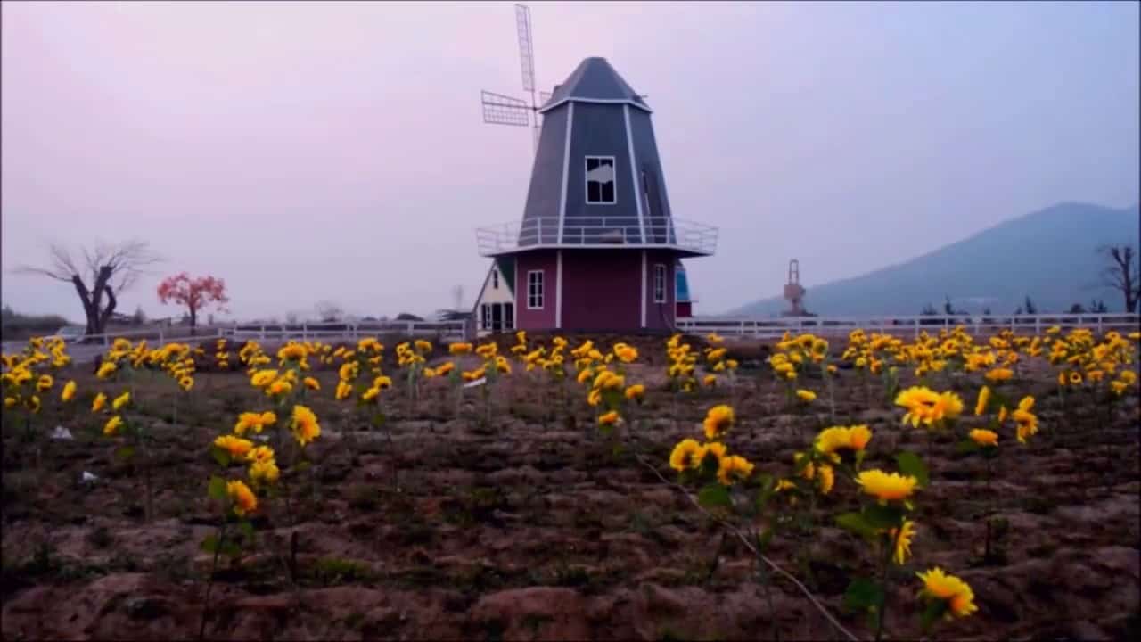 Giới thiệu Thuận Phước Field