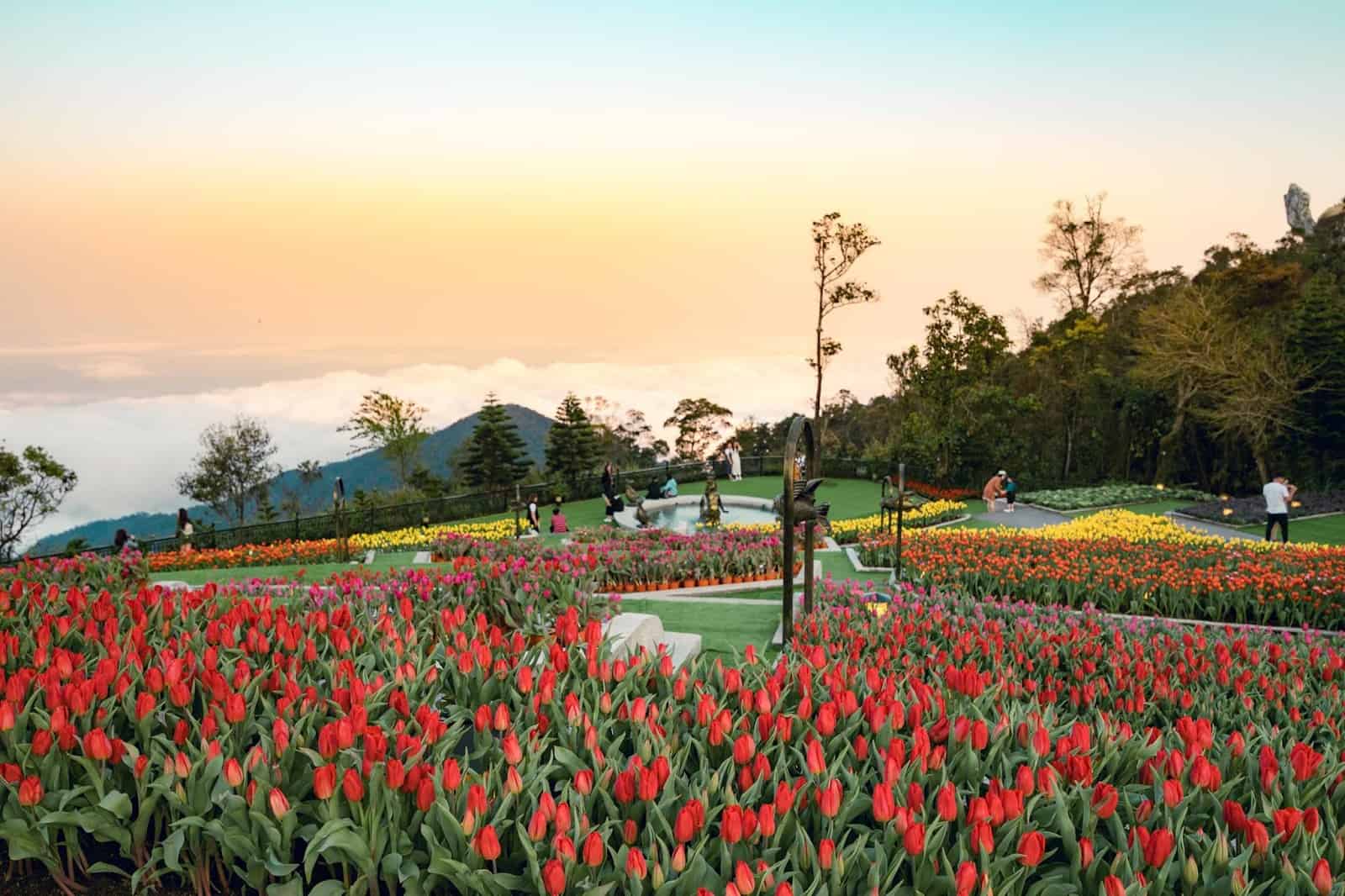 Vườn Hoa Le Jardin D Amour: 9 Vẻ Đẹp Mang Đậm Phong Cách Pháp