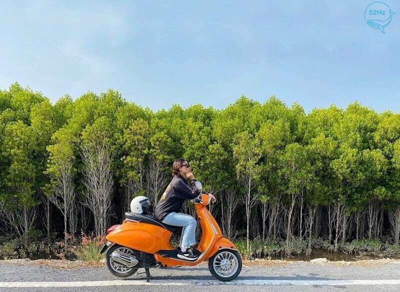 Cung đường Lâm Viên quen thuộc đối với những phượt thủ