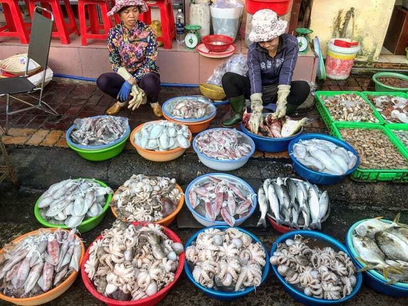 Top 3 Khu Chợ Hải Sản Cần Giờ Tươi Ngon Không Thể Bỏ Qua