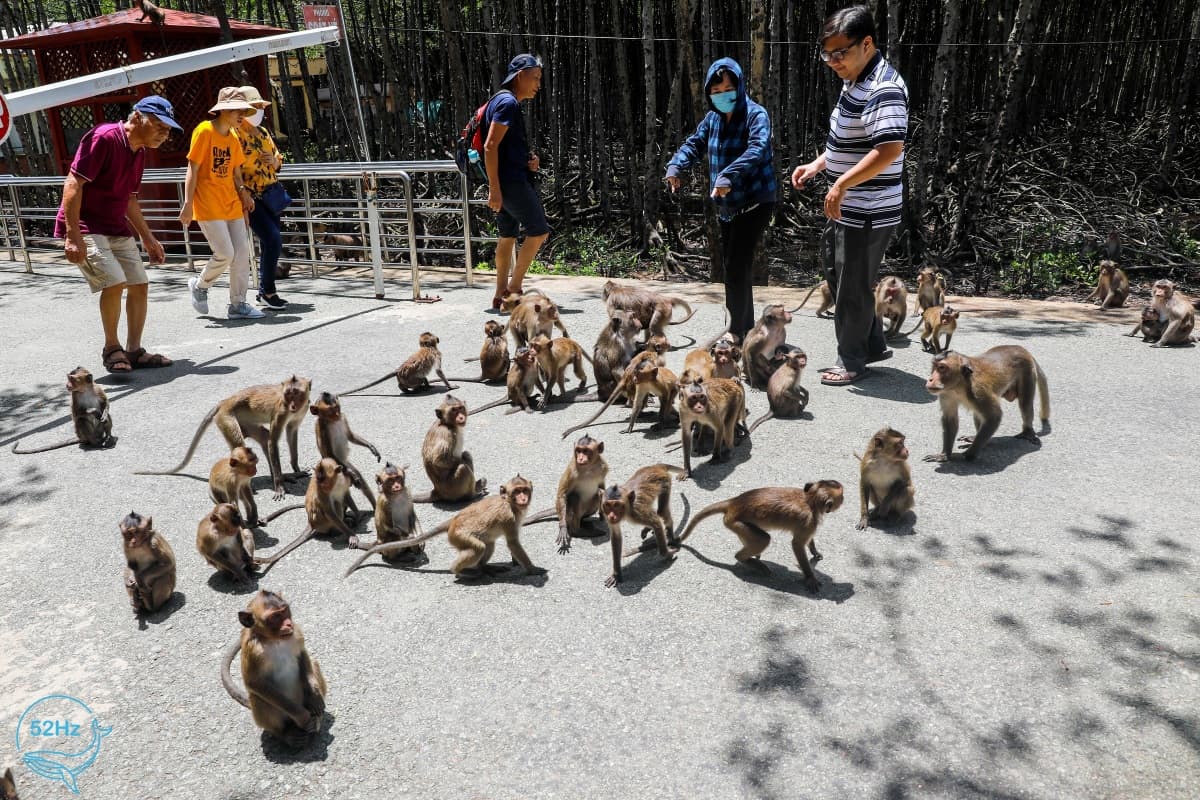 Khu du lịch có rất nhiều địa điểm để tham quan và khám phá