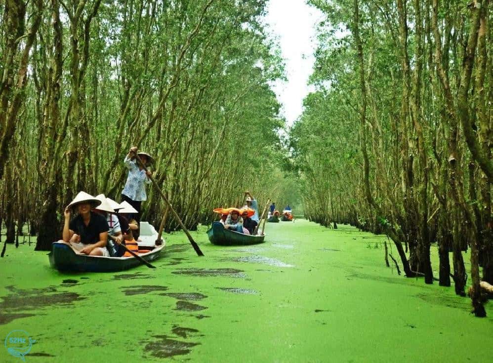 Hoạt động giải trí vô cùng độc đáo tại khu du lịch