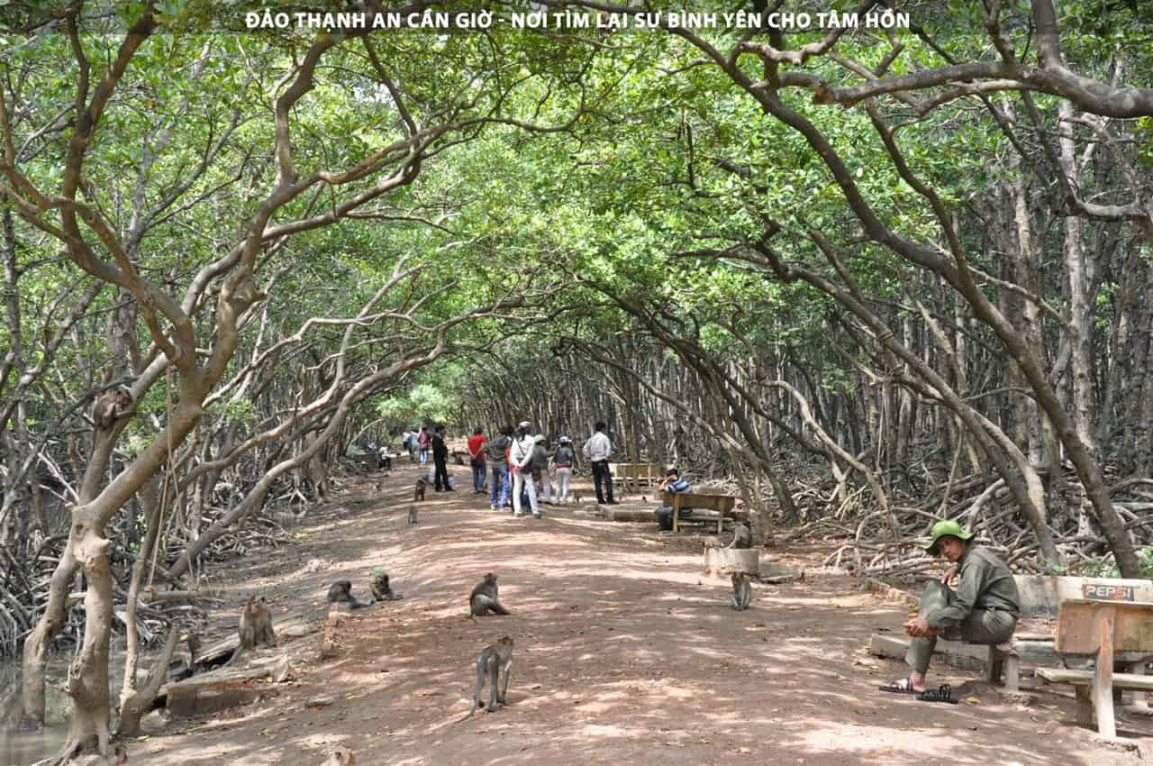 Đảo Thạnh An Cần Giờ - Nơi tìm lại sự bình yên cho tâm hồn