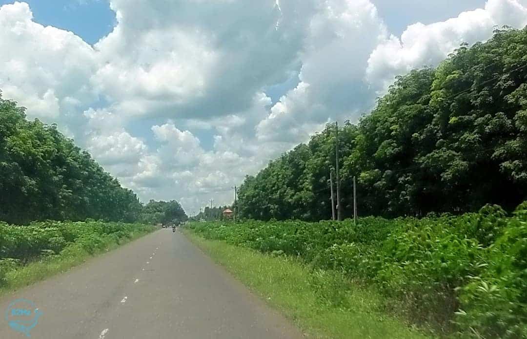 Hướng dẫn đường đi suối Trúc Tây Nin