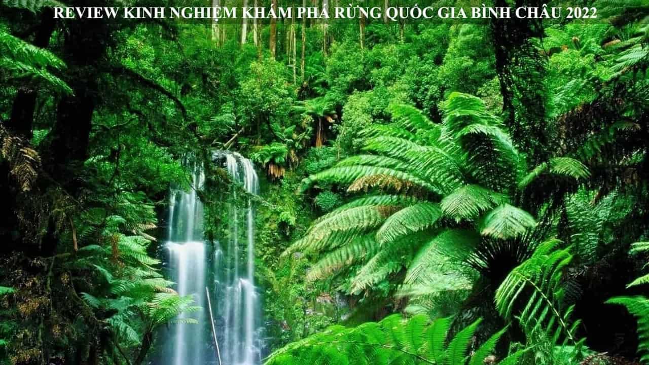 Rừng Quốc gia Bình Châu: Review kinh nghiệm khám phá 2022