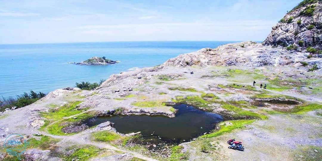 Vùng sinh thái tuyệt vời của Đồi Con Heo