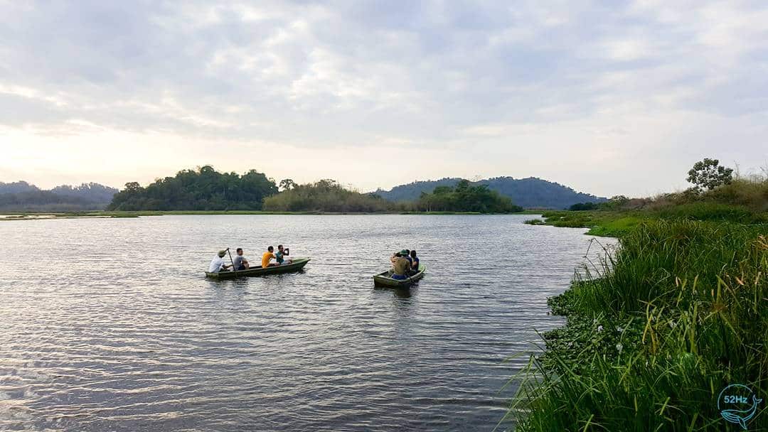 Kinh nghiệm Khám phá Bàu Sấu Nam Cát Tiên