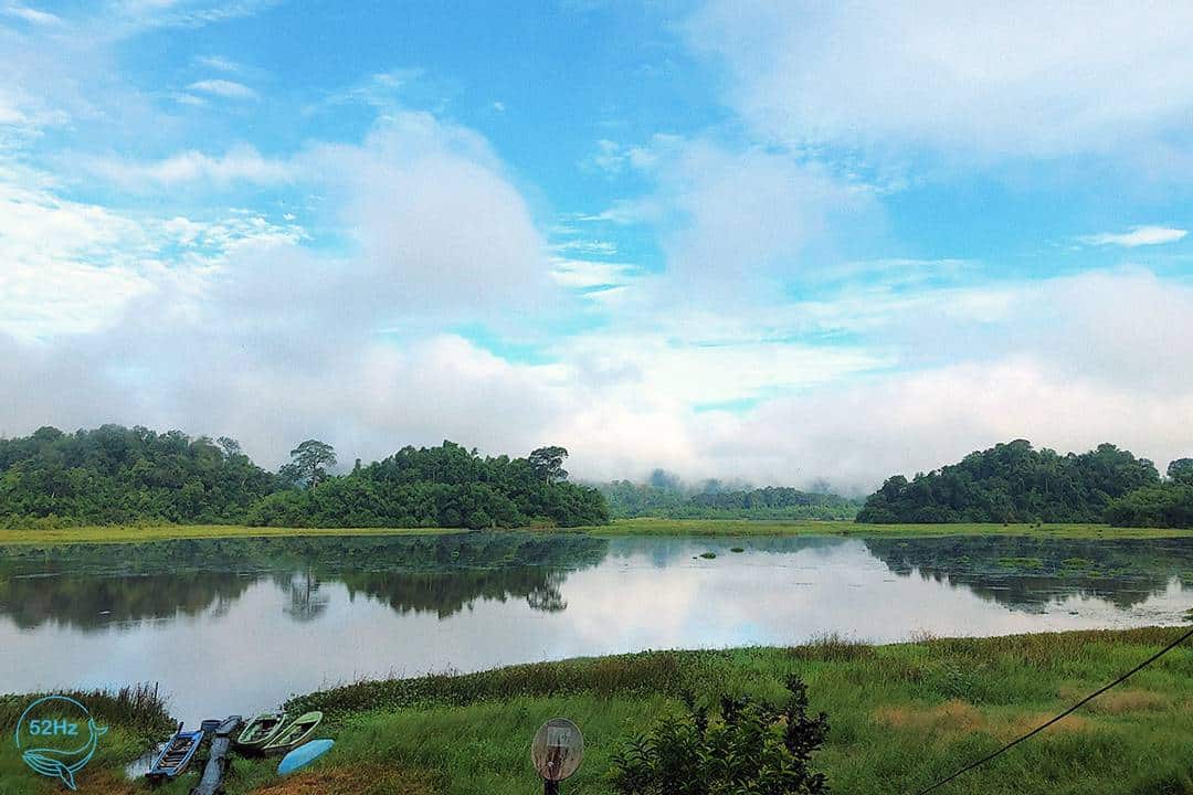 Cảnh quan thiên nhiên tại Bàu Sấu