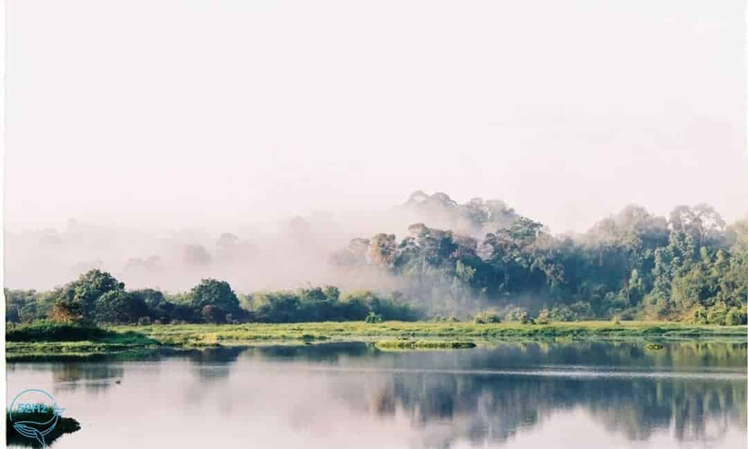 Một buổi sương sớm tuyệt đẹp ở Bàu Sấu