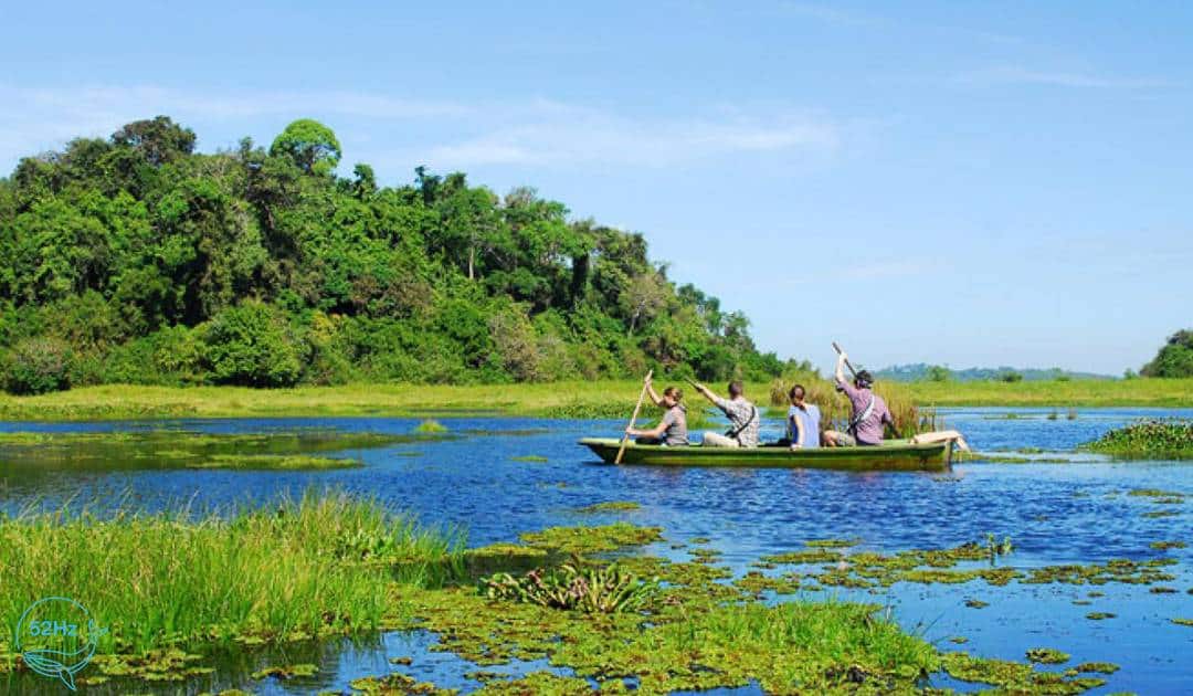 Bàu Sấu - Điểm Du Lịch Lý Tưởng Tại Vườn Quốc Gia Cát Tiên