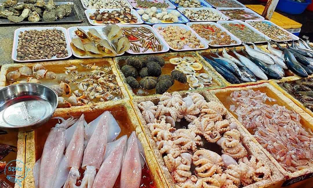 Hải sản hấp dẫn tại biển Long Hải Vũng Tàu