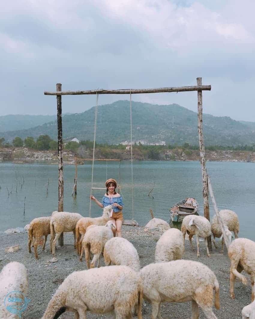 Bầy cừu Hồ Đá Xanh