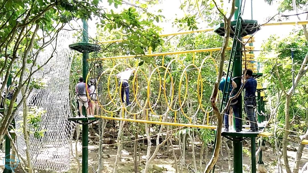 Tập Làm Tarzan