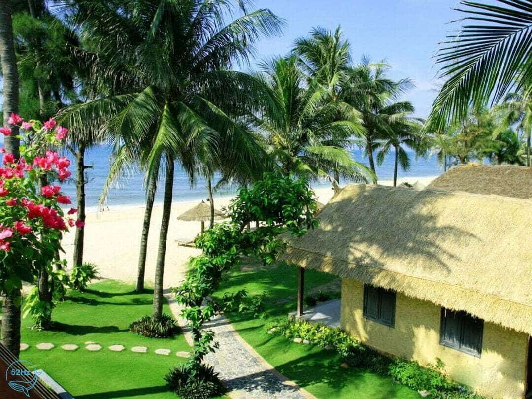 Khung cảnh dẫn vào Khu du lịch Tre Việt