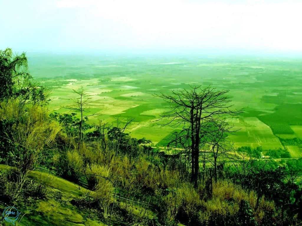 Vẻ đẹp mộng mị của Ma Thiên Lãnh
