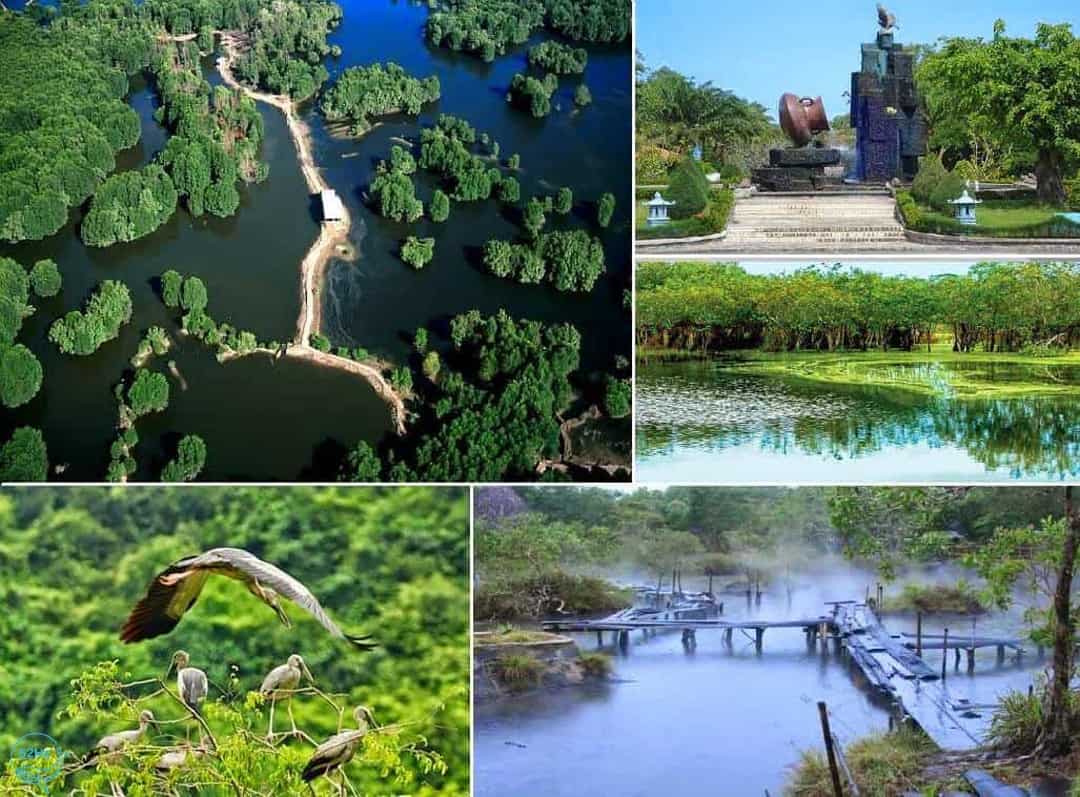 Đây là địa điểm tham quan mới lạ và hấp dẫn dành cho những gia đình